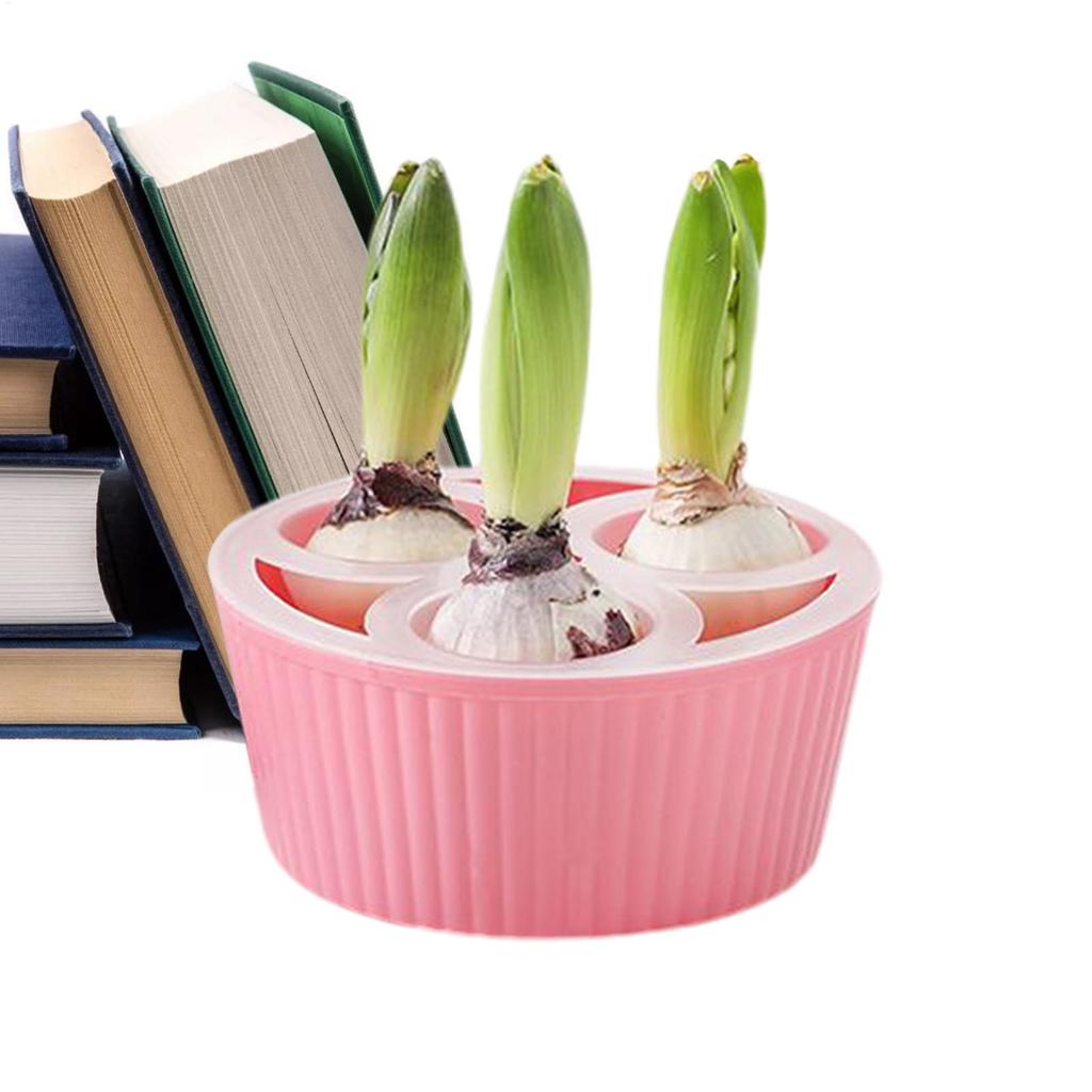 Hydroponic Planter 3-hole Growing Container Flower Bulb Planting Container Hyacinth Planter Flower Bulb Hydroponic Flower Pot
