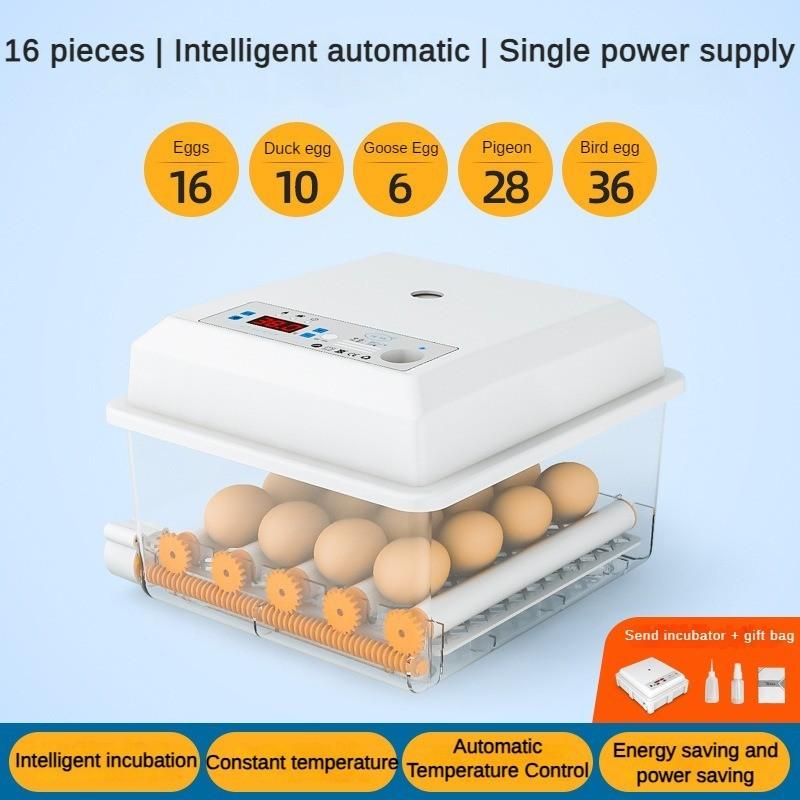 

50 Вт бытовой полностью автоматический инкубатор небольшой цифровой экран дисплея инкубатор для яиц интеллектуальный инкубатор непрерывного действия с постоянной температурой Type C