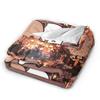 Bubu & Dudu Appreciating Lanterns Flannel Blankets Winter  Super Soft Throw Blanket for Home Decor Novelty Bedspread Bed Cover