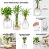 Desktop Hydroponic Vase Home Decorative Plant Cultivation Bottles Office Green Plant Rooting Container Flower Arrangement Vase