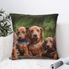 Cute Dachshunds Puppy Pillowcase Polyester Cushion Cover Gift Gift for Animal Dog Lover Throw Pillow Case Cover Seater