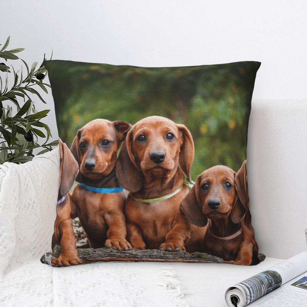 Cute Dachshunds Puppy Pillowcase Polyester Cushion Cover Gift Gift for Animal Dog Lover Throw Pillow Case Cover Seater