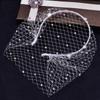 Set of 2 Crystal Face Net Headband Elegant Rhinestones Hair Hoop Ornament Wedding Fascinator Stylish Jewelry for Parties