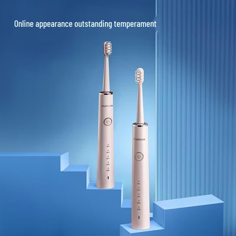 Flyco Adult Electric Toothbrush CN Plug (adapter Included)