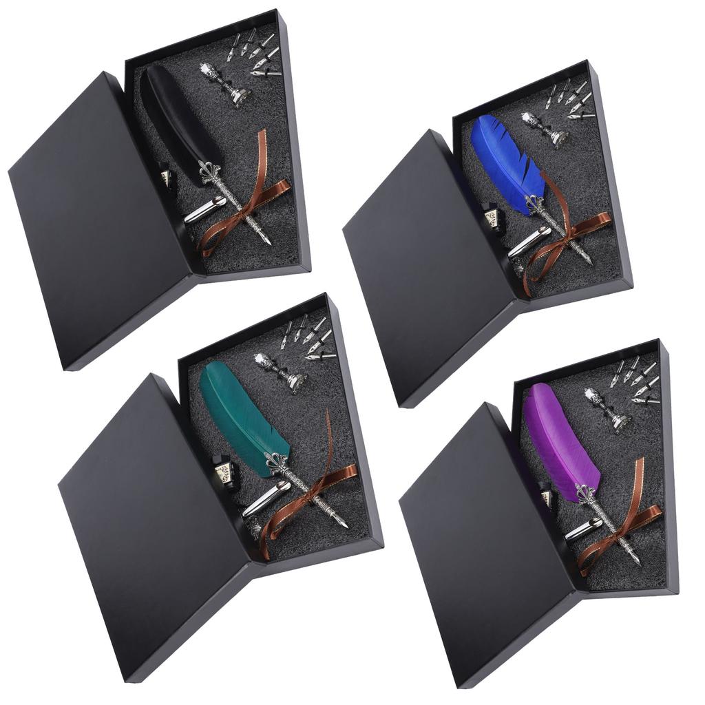 Set di penne d'oca, penna a immersione, timbro, studenti, insegnanti, calligrafia antica, regalo vintage