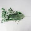 Comosum Chlorophytum Wall Hanging Decoration For Indoor Outdoor Gift Garden