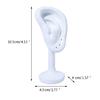 Ear Shaped Earring Display Stand Jewelry Organizer Storage Rack for Earrings