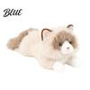 Exquisite Realistic Kitten Gift Lifelike Ragdoll Cat Plush Toy Stuffed Animal Pillow for Sleeping Stress Relief Hugging 45cm Fluffy Pillow,