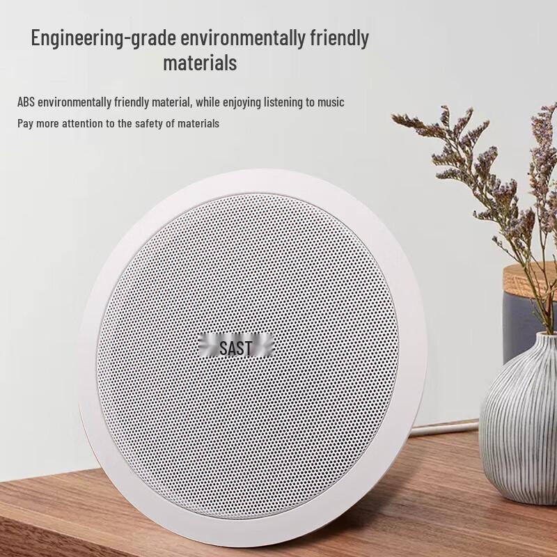 Sienko Y5 5-inch Ceiling Speaker CN plug (adapter included)