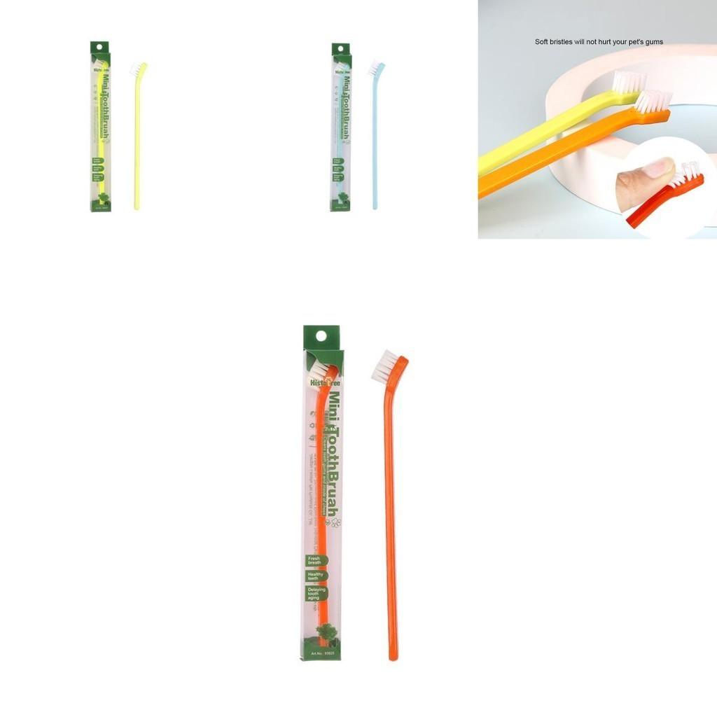 Pet Toothbrush Single Head Cat Toothbrush For Oral Care Wholesale Pet Supplies