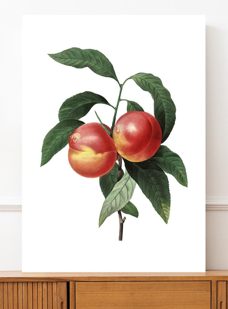 Peach Blossom Vintage Poster