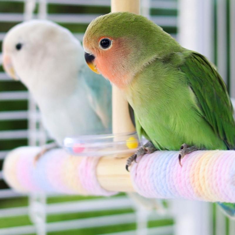 Interactively Parrots Swing Toy Cotton Rope Perches Training Bird Balance Toy For Cage Climbing Exercise Training
