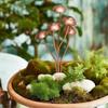 1/2/3Pcs Mushroom-Shaped Metal Garden Stake – Decorative Outdoor Ornament for Courtyard and Potted Plant Displays
