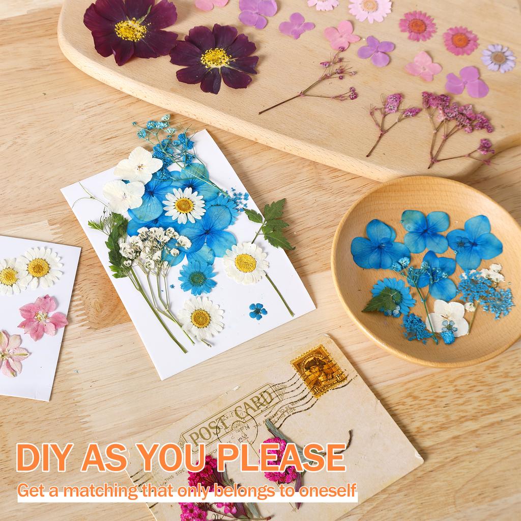 104Pcs Pressed Dried Flowers Set Real Natural Pressing Floral Leaves DIY Multipurpose Real Pressed Flowers Dry Leaves Kit