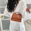 Casual Casual Style Women's Small Square Bag with Soft Handle and Shoulder Strap