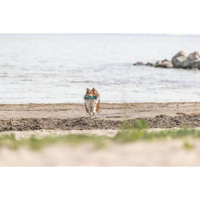 Ball - TRIXIE - Wabenmuster - TPE - Blau - Für Hund