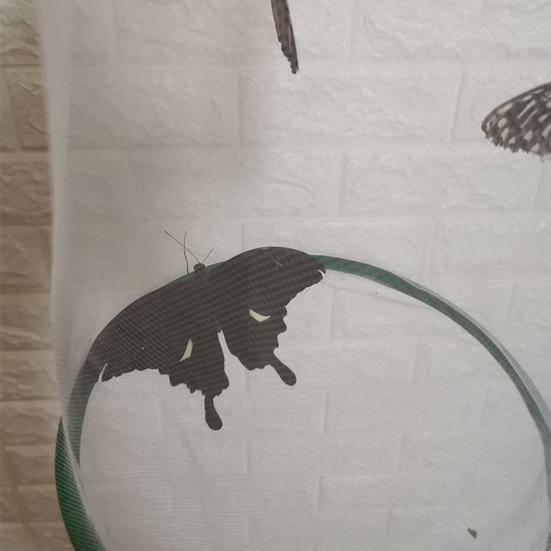 Butterfly Experiment Cage Handheld Easy Storage Folding Breathable Transparent Feeding Portable Observation