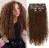 Wig for Women Long Hair Extensions Curly Pieces - Invisible Seamless Water Wave Hairpieces