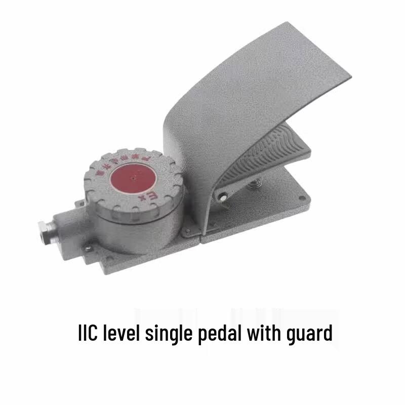 DLXK Explosion-Proof Foot Pedal Switch