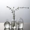 Transparent Glass Vase Triple Connected Plant Terrarium Clear Flower Vases  Indoor Propagation