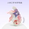 Kulomi Children's Shoes, Girls' Baotou Sandals, 2026 Summer New Soft Soled Light Up Shoes