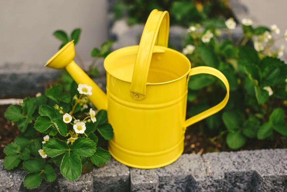 Yellow Metal Watering Can for Children
