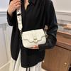 Trendy Small Pu Shoulder Bag For Women 2024 Stylish Lock Buckle Crossbody Bag