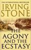 The Agony And The Ecstasy by Irving Stone Paperback Book 9780099416272
