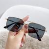 Fashion Retro Sunglasses Double Bridge Metal Sunglasses Ins Personality Irregular Net Red Sunglasses