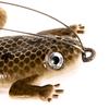 Richiamo Di Pesca Artificiale Di Esca Di Pesca Di 6cm / 5.5g Frog Fishing Lure