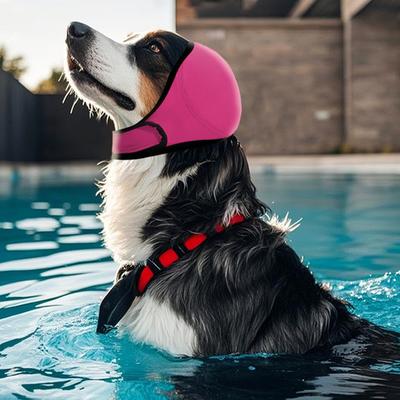 Îmbrăcăminte și încălțăminte – Accesorii pentru câini