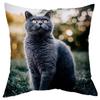 Office Living Room Home Pillowcase Cute Little Lazy Cat Pattern Pillowcase Car Ornaments