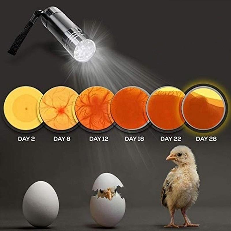 7 Pcs Eggs Incubator Capacity Incubator Brood Machine Chicken Duck Egg Hatcher Electronic Automatic Incubator Chicken Duck Bird Pigeon