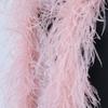 1 2 3 4 6 Natural ostrich feathers 2 meters ostrich feather scarf decorate carnival dress clothing feathers draped in shawl crafts