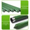 40Cm Plant Stakes Gardening Pillar For Plant Vine Climbing Net Greenhouse Tomato Cage Flowers And Vegetables Supporting Holder