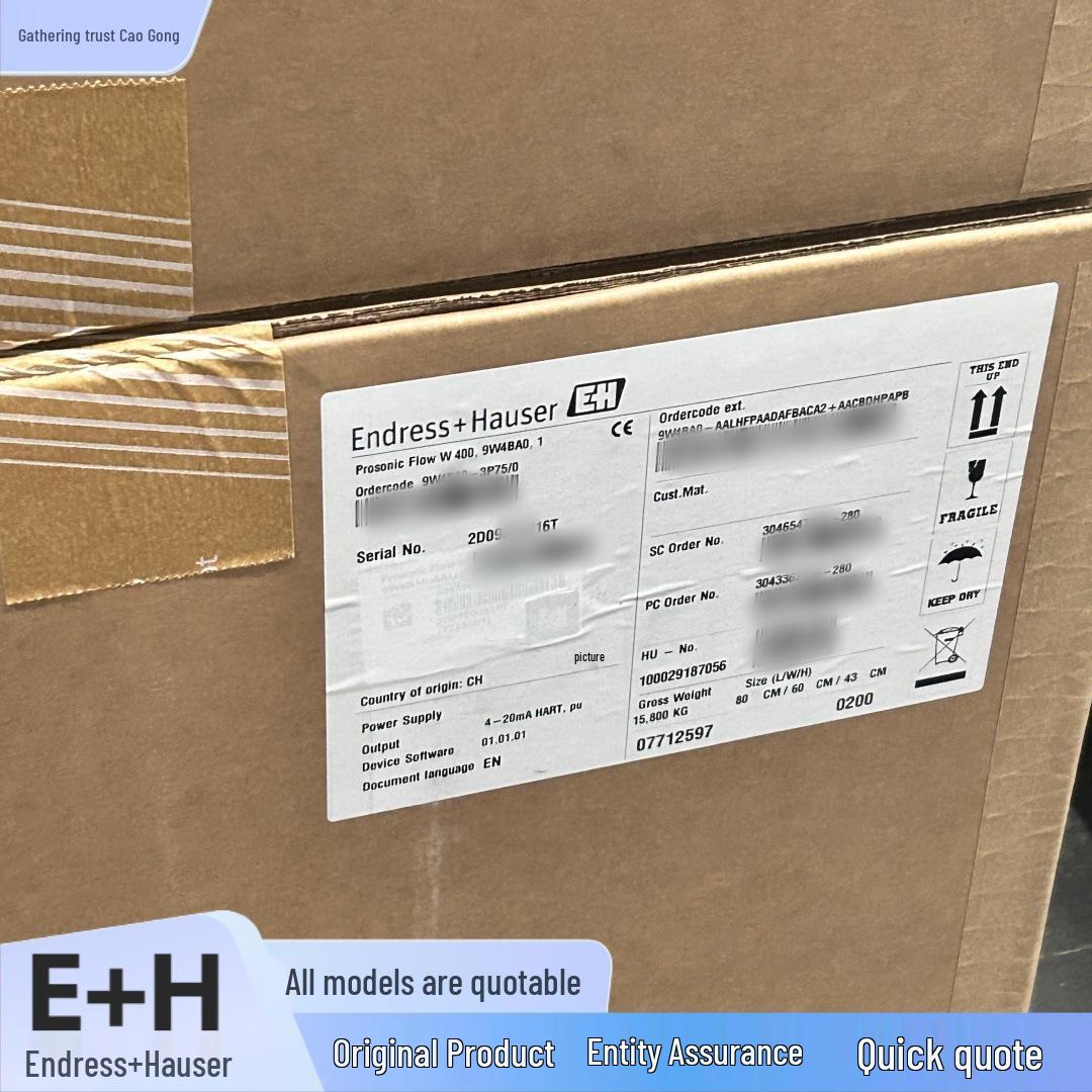 

Endress+Hauser FTM51 Tuning Fork Limit Switch Available