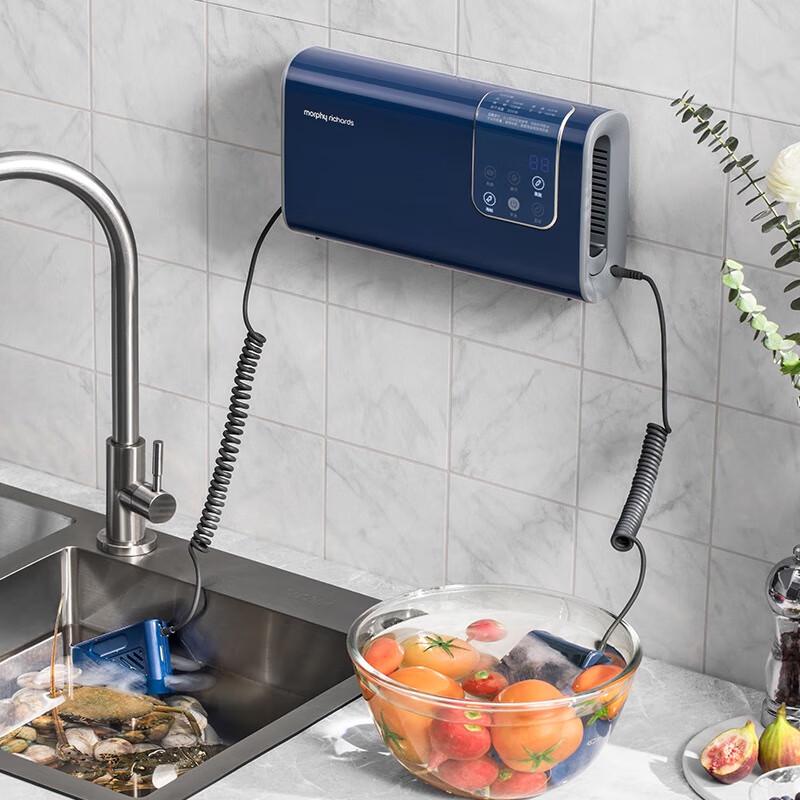 Morphy Richards Fruit and Vegetable Purifier