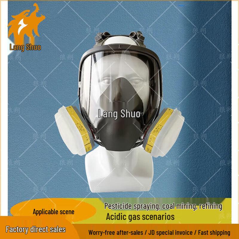 Langshuo 6800 Full-Face Respirator Kit