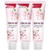 Zhonghua Oral Care Toothpaste Collection