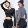 Melltartók – Sportmelltartók