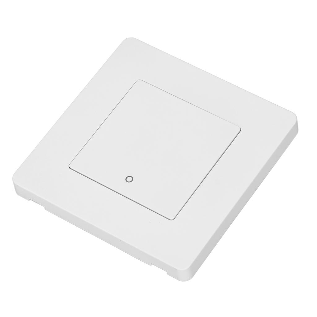 1 Way Timing Controller Scene   Remote Control AC  for Light Curtain