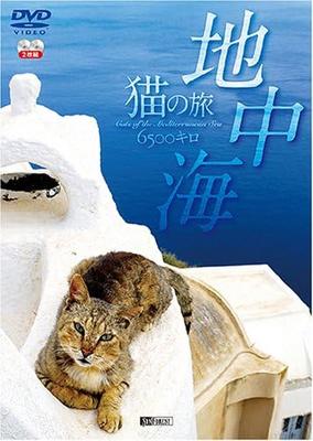 DVD DVD - Symphora DVD: Mittelmeerkatze Jou SDA81 Japan Filme & DVD Gebraucht