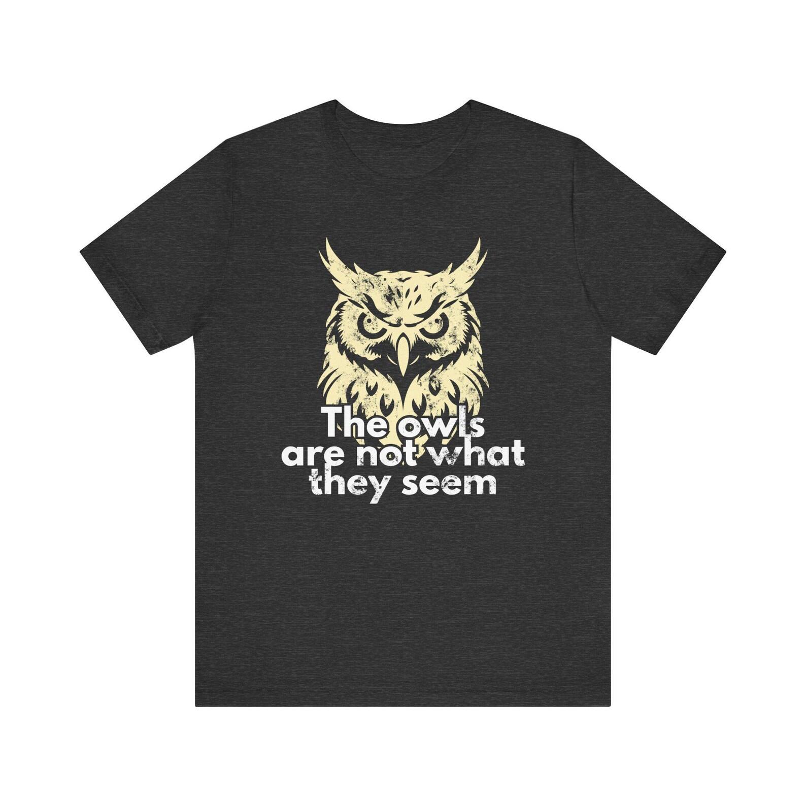 The owls are not what they seem Tee | Owl Graphic T shirt 2XL