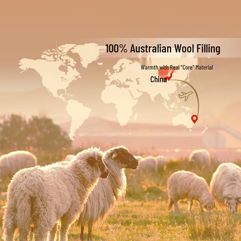 FUANNA 100% Australian Pure Wool Quilt