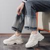Dad Shoes for Women In Autumn, All-match Thick-soled Shoes for Students, Sports Casual Shoes