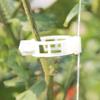 100PCS Garden Plant Flowers Tied Bundle Branch Clamp Clip Tools fruit Vegetables Vine support Clips