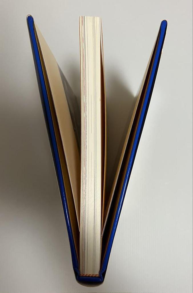 [USED] BLOW UP Keiichi Tanaami 1963-1974