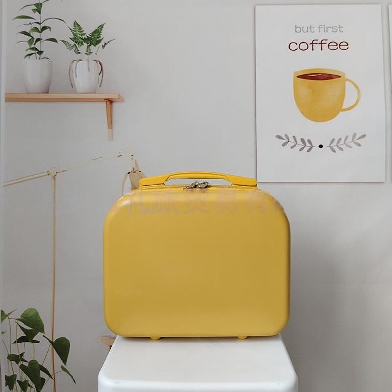 KANDEXS Mini Cosmetic Travel Suitcase 14-inch