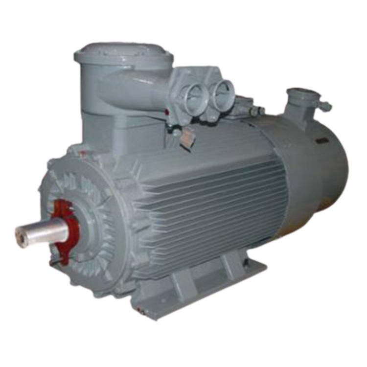Wolong YBBP Series Explosion-Proof Variable Frequency Asynchronous Motor