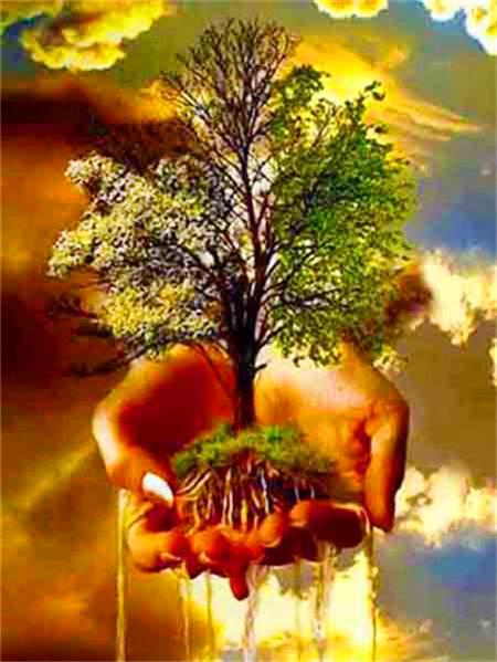 

Набор для алмазной живописи Дерево Пейзаж Полная квадратная/круглая вышивка Мозаика Фэнтези Пейзаж Домашний декор Full Round 20x30CM